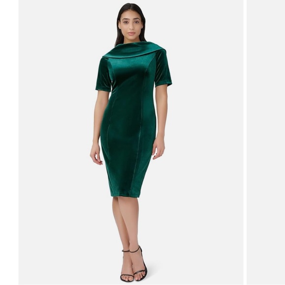 Adrianna Papell Short Sleeve Roll Neck Velvet Sheath Dress - Picture 4 of 12